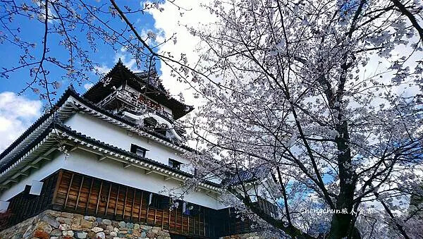 日本國寶【犬山城】最古老天守閣、城下町老街散策傳統小吃 | 