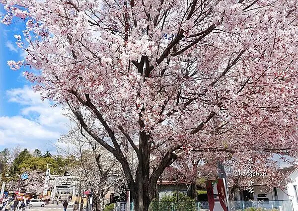 日本國寶【犬山城】最古老天守閣、城下町老街散策傳統小吃 | 