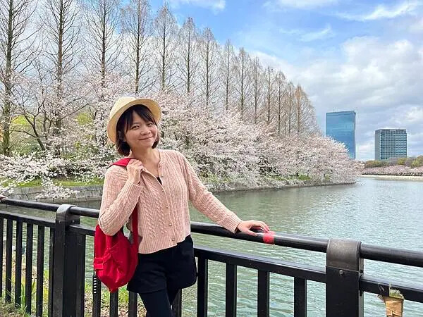 *關西大阪賞櫻，大阪城公園滿開隨記