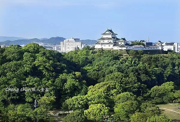 _DSC1245.JPG _DSC1245.JPG