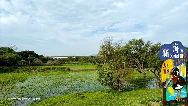 2025新月橋荷花池🪷，4/19即時現況｜同場加映：新海三期