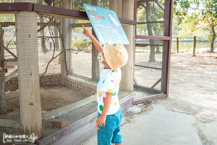台南市學甲區台南頑皮世界野生動物園|兒童節玩樂首選,帶孩子一起探索野生動物園!