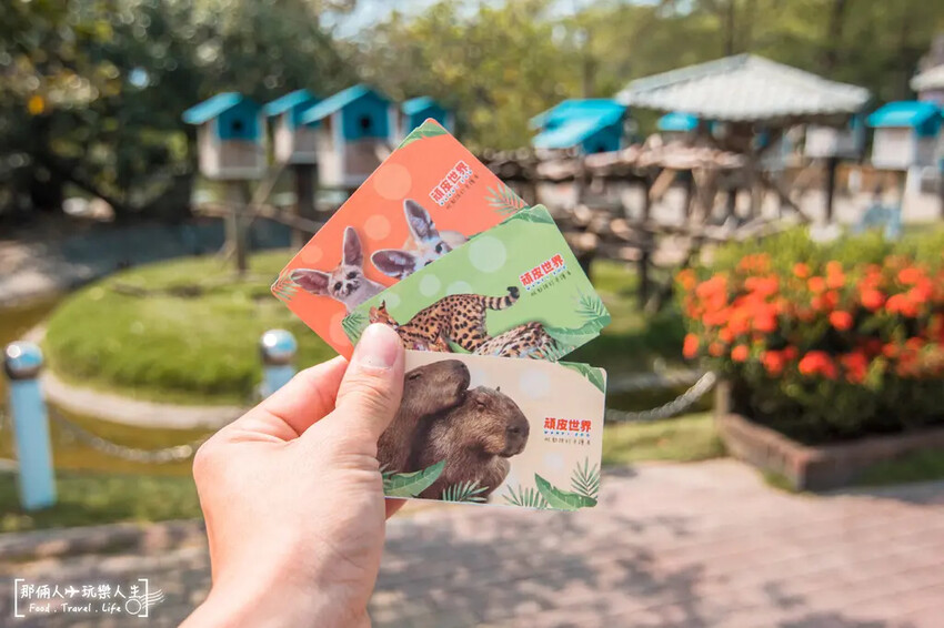 台南市學甲區台南頑皮世界野生動物園|兒童節玩樂首選,帶孩子一起探索野生動物園!
