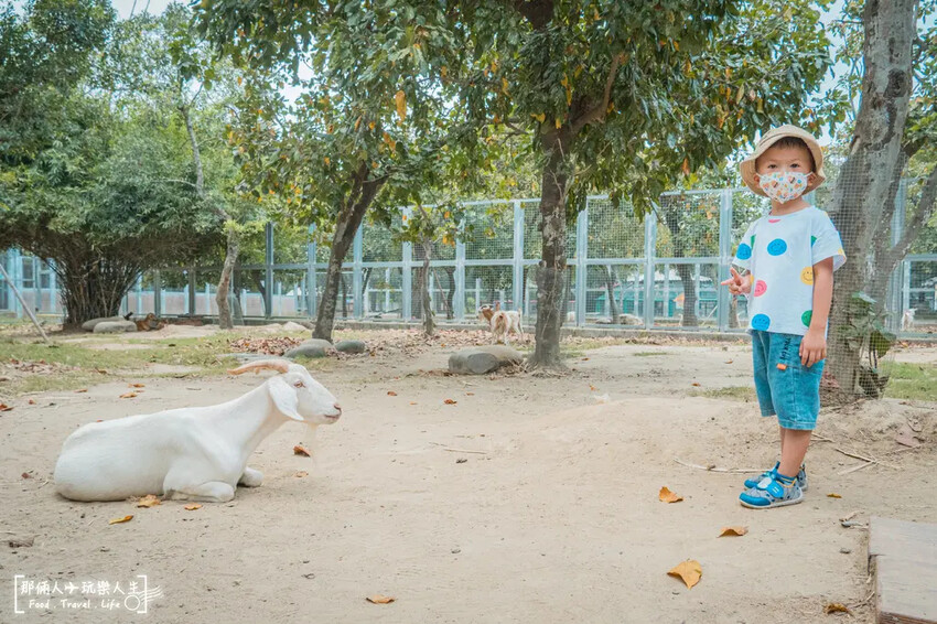 台南市學甲區台南頑皮世界野生動物園|兒童節玩樂首選,帶孩子一起探索野生動物園!