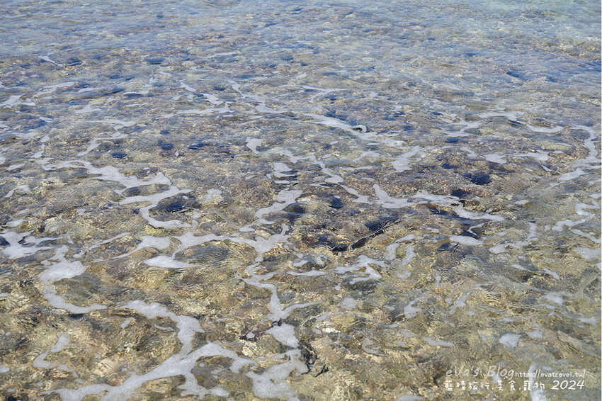 屏東縣琉球鄉【小琉球景點】蛤板灣有著台版威尼斯沙灘之美稱，海水清澈見底，參與潮間帶活動看見海膽、陽隧足、硨磲貝、海葵、海參等等生物，還可以親手觸摸體驗觸感。小琉球旅行