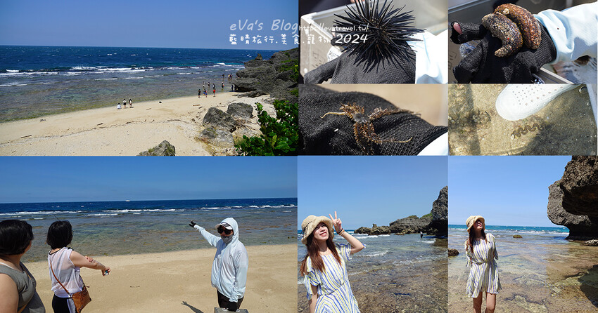 屏東縣琉球鄉【小琉球景點】蛤板灣有著台版威尼斯沙灘之美稱，海水清澈見底，參與潮間帶活動看見海膽、陽隧足、硨磲貝、海葵、海參等等生物，還可以親手觸摸體驗觸感。小琉球旅行