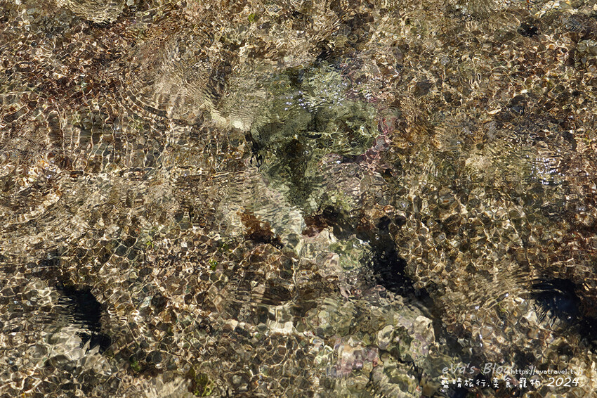 屏東縣琉球鄉【小琉球景點】蛤板灣有著台版威尼斯沙灘之美稱，海水清澈見底，參與潮間帶活動看見海膽、陽隧足、硨磲貝、海葵、海參等等生物，還可以親手觸摸體驗觸感。小琉球旅行