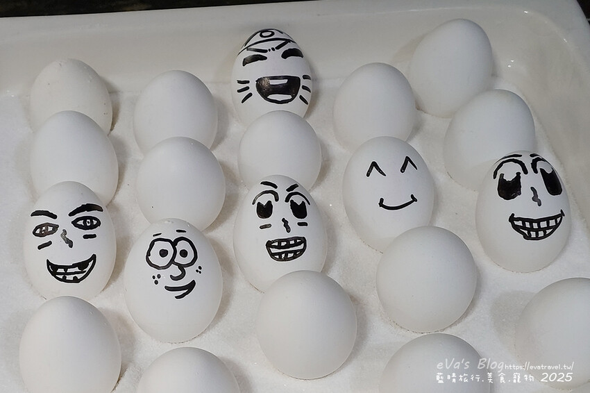 土耳其【土耳其蜜月旅遊】Ibis Istanbul Airport 宜必思伊斯坦堡機場飯店｜機場周邊住宿推薦，簡約雙人房型與豐盛早餐實拍分享。土耳其住宿