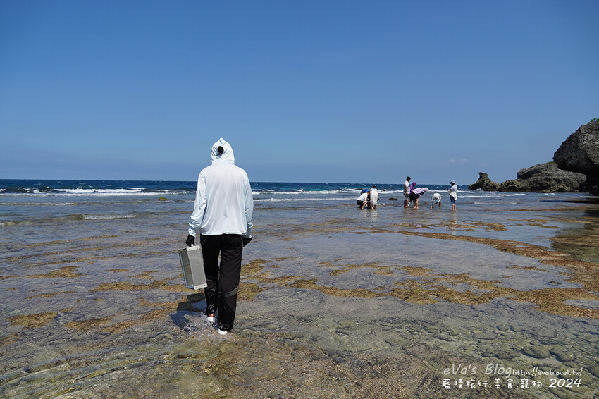 屏東縣琉球鄉【小琉球景點】蛤板灣有著台版威尼斯沙灘之美稱，海水清澈見底，參與潮間帶活動看見海膽、陽隧足、硨磲貝、海葵、海參等等生物，還可以親手觸摸體驗觸感。小琉球旅行