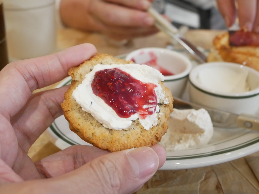 新竹市東區THE FOX COFFEE CLUB - 近新竹市政府的司康專賣店，每日手工製作八種口味司康(鹹甜皆有)，內用外帶都推薦o(*^＠^*)o