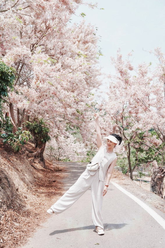 台南市玉井區花旗木盛開之美：台南玉井玥園思親步道，雙色花旗木浪漫登場！
