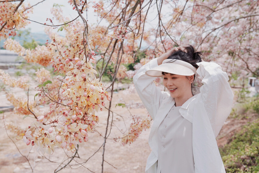 台南市玉井區花旗木盛開之美：台南玉井玥園思親步道，雙色花旗木浪漫登場！