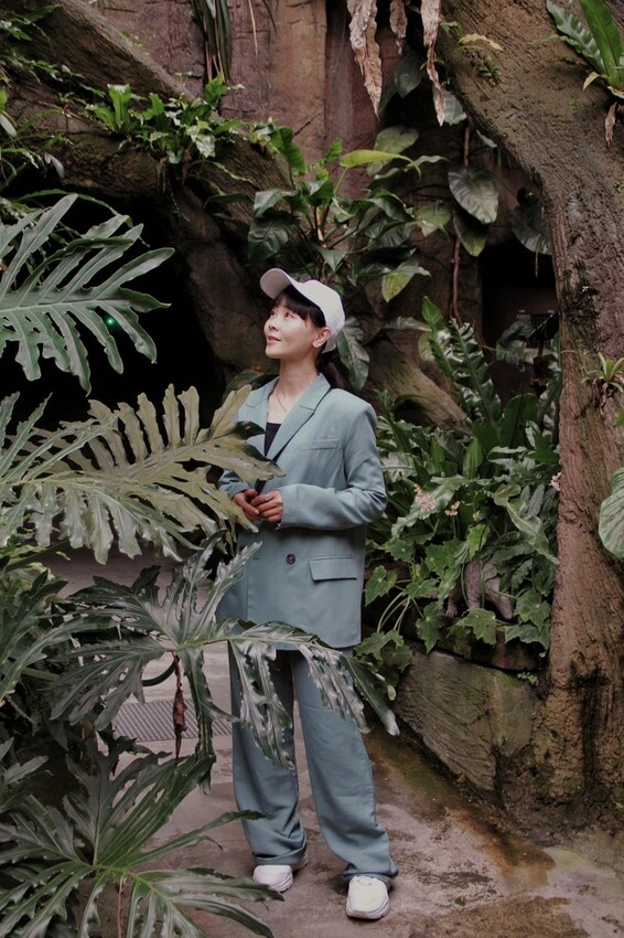 台北市文山區走一趟Taipei Zoo台北市立動物園,進入回春時光,必逛熱帶雨林館!