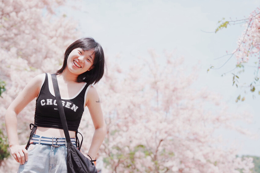 台南市玉井區花旗木盛開之美：台南玉井玥園思親步道，雙色花旗木浪漫登場！