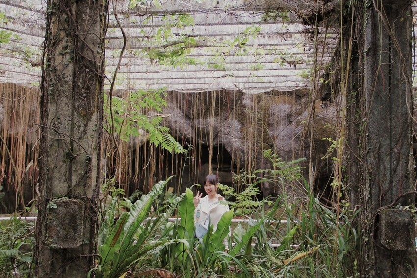 台北市文山區走一趟Taipei Zoo台北市立動物園,進入回春時光,必逛熱帶雨林館!