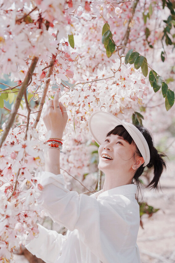 台南市玉井區花旗木盛開之美：台南玉井玥園思親步道，雙色花旗木浪漫登場！