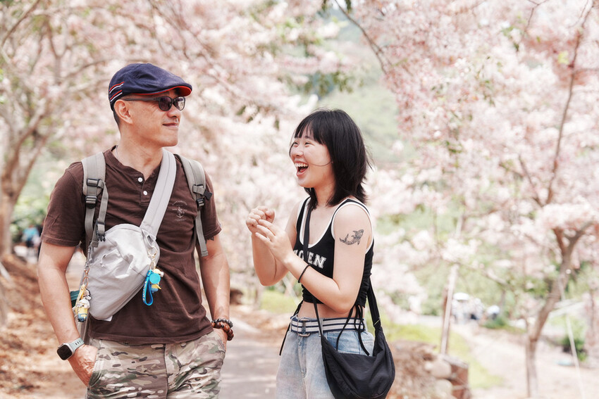 台南市玉井區花旗木盛開之美：台南玉井玥園思親步道，雙色花旗木浪漫登場！