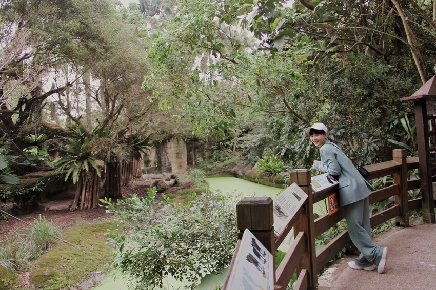 台北市文山區走一趟Taipei Zoo台北市立動物園,進入回春時光,必逛熱帶雨林館!