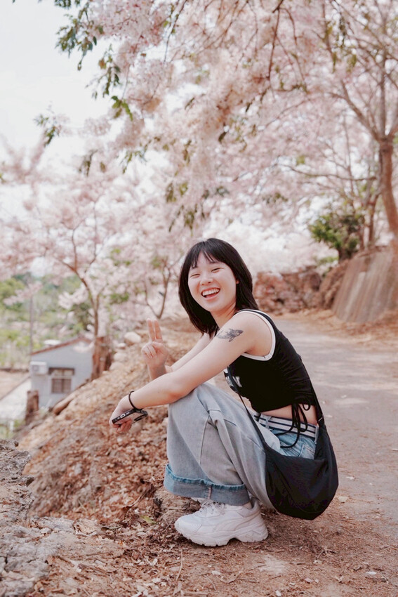 台南市玉井區花旗木盛開之美：台南玉井玥園思親步道，雙色花旗木浪漫登場！