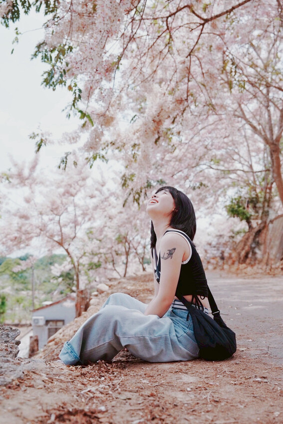 台南市玉井區花旗木盛開之美：台南玉井玥園思親步道，雙色花旗木浪漫登場！