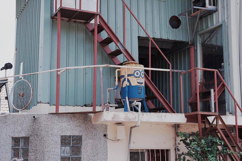 台南市玉井區花旗木盛開之美：台南玉井玥園思親步道，雙色花旗木浪漫登場！