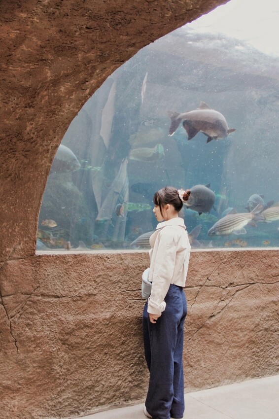 台北市文山區走一趟Taipei Zoo台北市立動物園,進入回春時光,必逛熱帶雨林館!