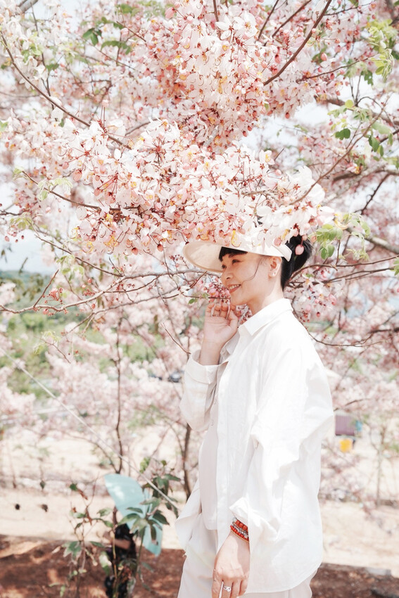 台南市玉井區花旗木盛開之美：台南玉井玥園思親步道，雙色花旗木浪漫登場！