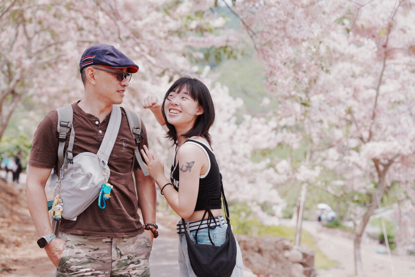 台南市玉井區花旗木盛開之美：台南玉井玥園思親步道，雙色花旗木浪漫登場！