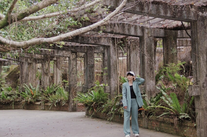 台北市文山區走一趟Taipei Zoo台北市立動物園,進入回春時光,必逛熱帶雨林館!