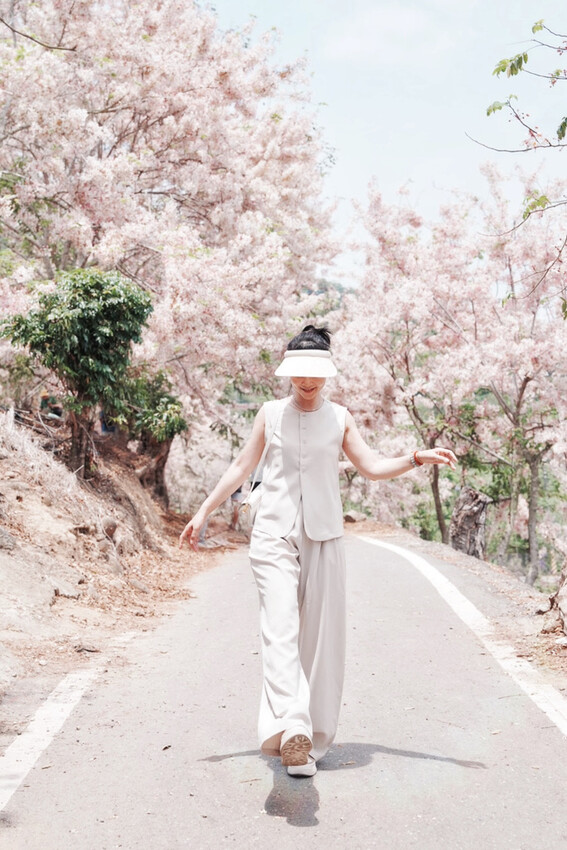 台南市玉井區花旗木盛開之美：台南玉井玥園思親步道，雙色花旗木浪漫登場！