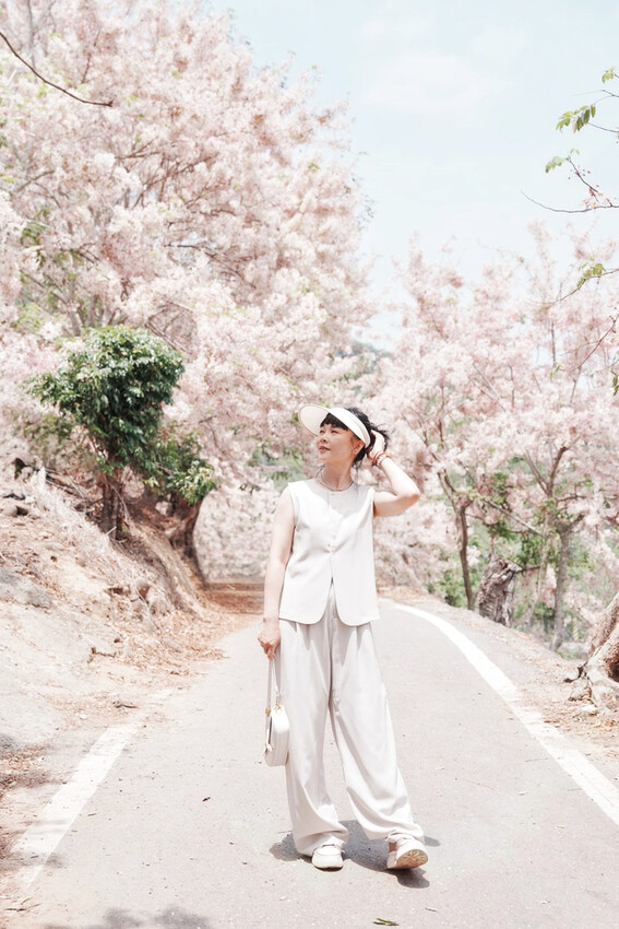 台南市玉井區花旗木盛開之美：台南玉井玥園思親步道，雙色花旗木浪漫登場！