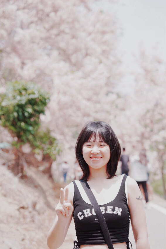 台南市玉井區花旗木盛開之美：台南玉井玥園思親步道，雙色花旗木浪漫登場！