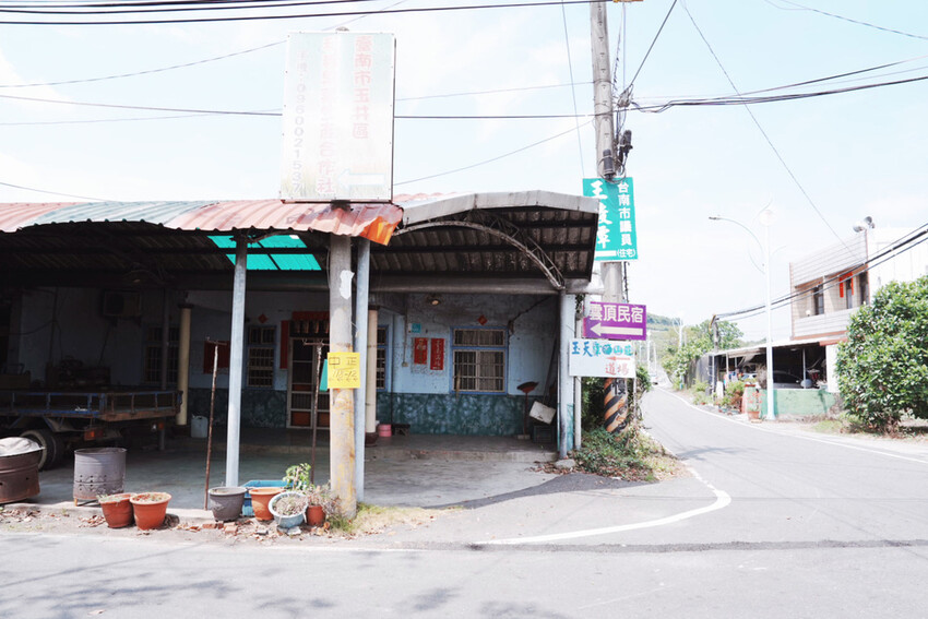 台南市玉井區花旗木盛開之美：台南玉井玥園思親步道，雙色花旗木浪漫登場！