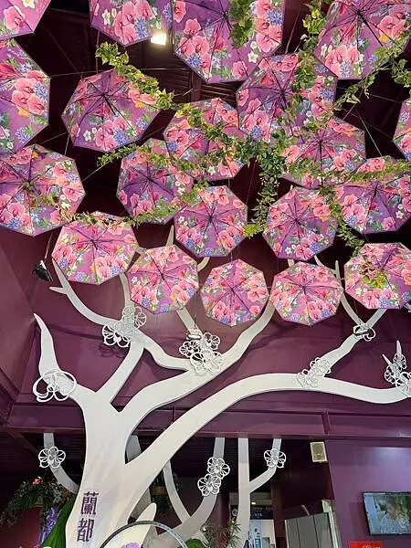 台南市六甲區[台南景點] 蘭都觀光工廠OrchidCity 蘭花主題園區 #免門票景點 @蛋寶趴趴go