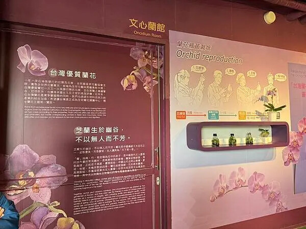 台南市六甲區[台南景點] 蘭都觀光工廠OrchidCity 蘭花主題園區 #免門票景點 @蛋寶趴趴go