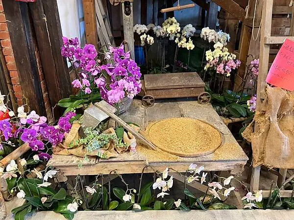 台南市後壁區[台南後壁景點] 菁寮老街一日遊 後壁俗女村「俗女養成記」景點 #台南旅遊 @蛋寶趴趴go