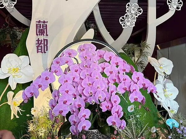 台南市六甲區[台南景點] 蘭都觀光工廠OrchidCity 蘭花主題園區 #免門票景點 @蛋寶趴趴go