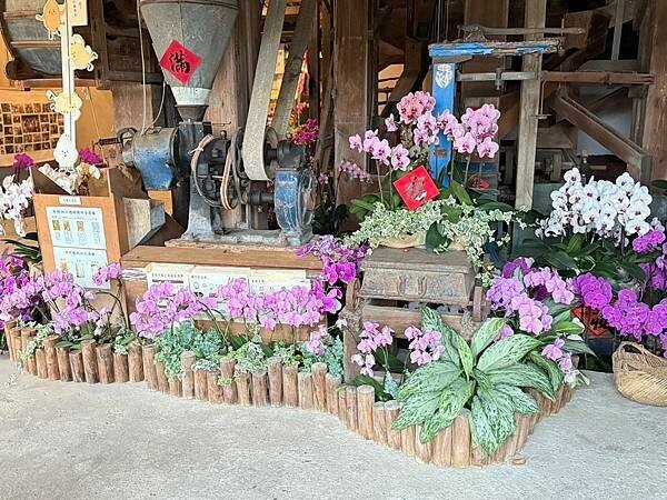 台南市後壁區[台南後壁景點] 菁寮老街一日遊 後壁俗女村「俗女養成記」景點 #台南旅遊 @蛋寶趴趴go