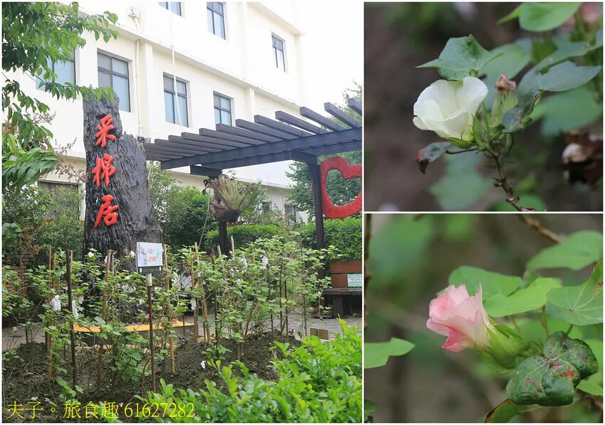 采棉居寢飾文化舘 浴火重生成為醫療紡織寢具的專業製造工廠