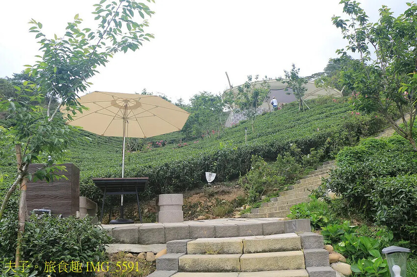 竹山山坪頂七星步道 南投觀光品茶新亮點 與茶園零距離的接觸 竹山山坪頂七星步道 南投觀光品茶新亮點 與茶園零距離的接觸