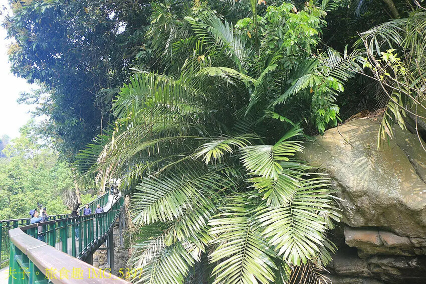 南投瑞龍瀑布園區 空中觀瀑平台 瀑布近在咫尺彷彿觸手可及