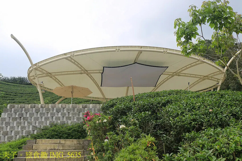 竹山山坪頂七星步道 南投觀光品茶新亮點 與茶園零距離的接觸 竹山山坪頂七星步道 南投觀光品茶新亮點 與茶園零距離的接觸