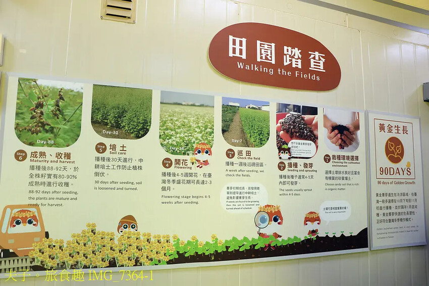 黃金蕎麥探索館 全台唯一以黃金蕎麥為主題的概念餐廳