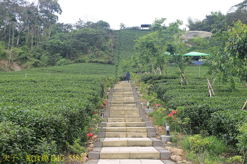 竹山山坪頂七星步道 南投觀光品茶新亮點 與茶園零距離的接觸 竹山山坪頂七星步道 南投觀光品茶新亮點 與茶園零距離的接觸