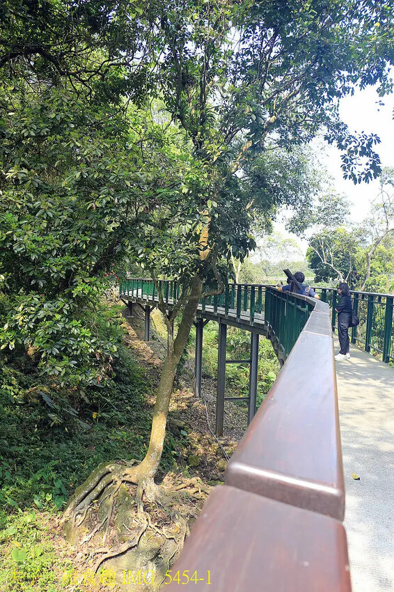 南投瑞龍瀑布園區 空中觀瀑平台 瀑布近在咫尺彷彿觸手可及