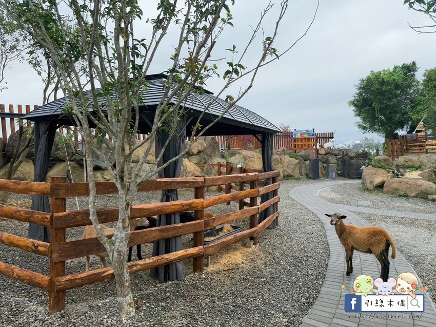 南投縣鹿谷鄉門票全額折抵玩樂免費送！《鹿芝谷生態景觀園區》5大親子亮點，全台少見的多種類萌寵天堂，還有多種DIY多肉遊戲區。水豚、黑鼻羊、梅花鹿、陸龜等。
