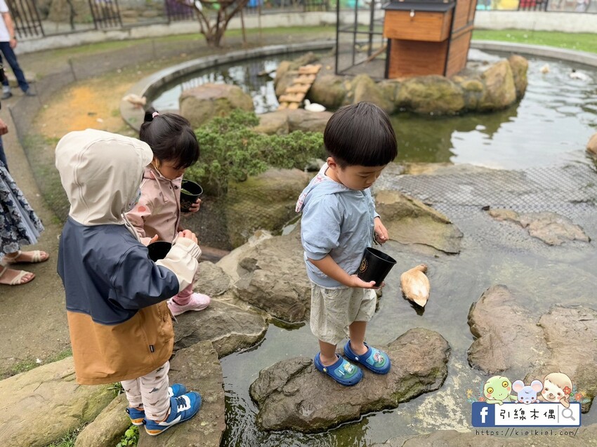 南投縣鹿谷鄉門票全額折抵玩樂免費送！《鹿芝谷生態景觀園區》5大親子亮點，全台少見的多種類萌寵天堂，還有多種DIY多肉遊戲區。水豚、黑鼻羊、梅花鹿、陸龜等。