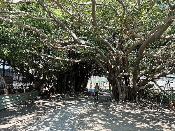 高雄市三民區【高雄。三民】高雄愛河旁的百年古蹟．台灣煉瓦會社打狗工場〈中都唐榮磚窯廠〉