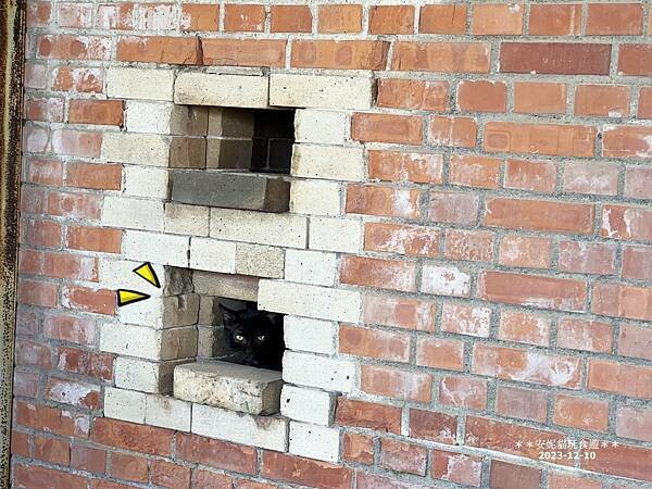 高雄市三民區【高雄。三民】高雄愛河旁的百年古蹟．台灣煉瓦會社打狗工場〈中都唐榮磚窯廠〉