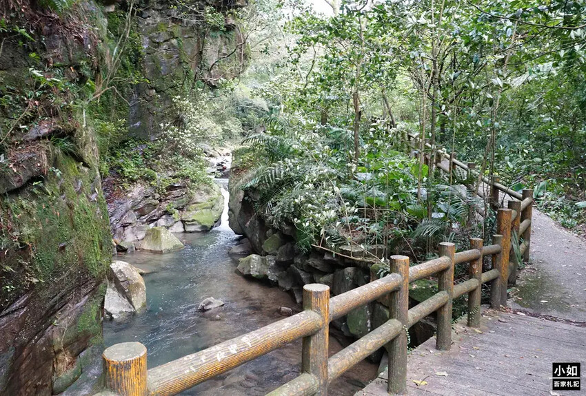 基隆市暖暖區【暖暖步道】基隆暖東峽谷步道,滑瀑,百年土地公,壯觀峽谷,免門票景點!
